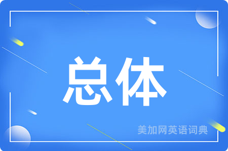 总体