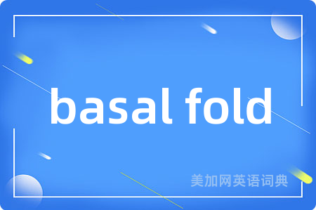 basal fold