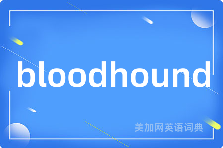 bloodhound