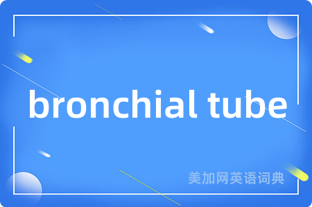 bronchial tube