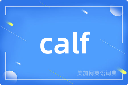 calf