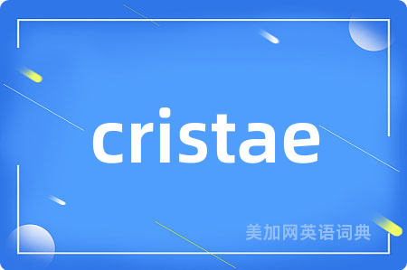 cristae