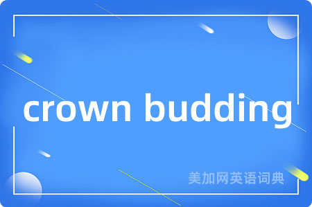 crown budding