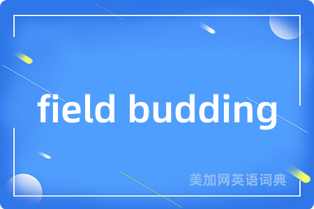 field budding