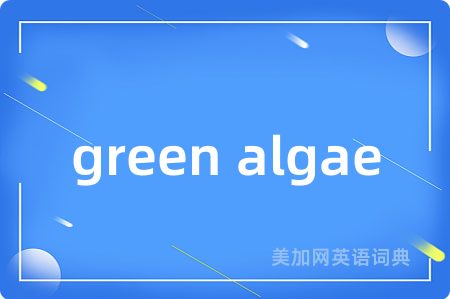 green algae