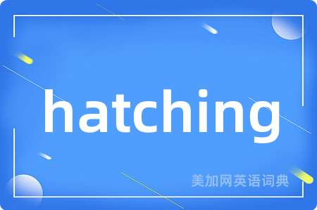 hatching