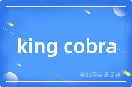 king cobra