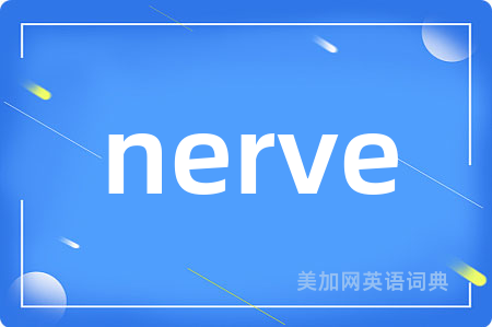 nerve