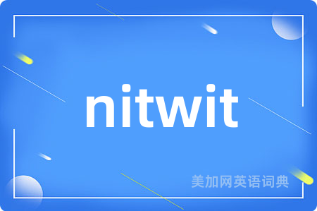 nitwit