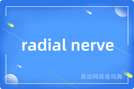radial nerve