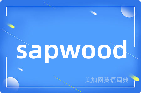 sapwood