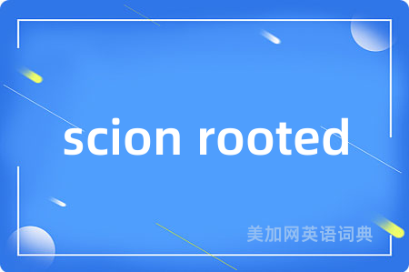 scion rooted