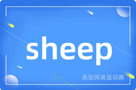 sheep