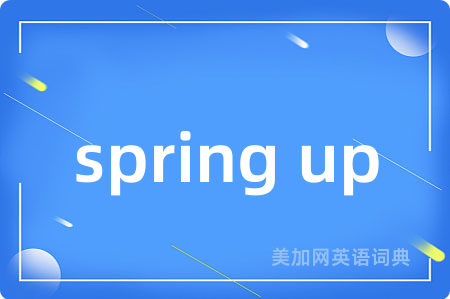 spring up