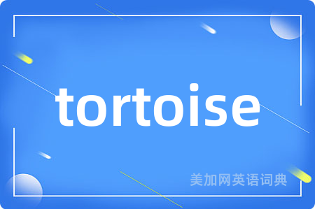 tortoise
